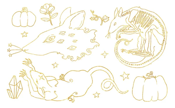 Set Witches Familiars Illustrations Rat Set Golden Line Art Boho — Stock Photo, Image