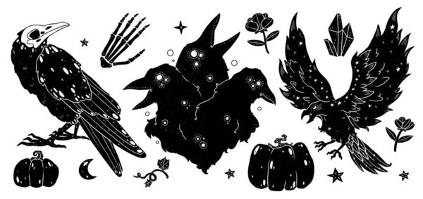 Набор ведьм знакомится с иллюстрациями. Ворон готов. Бохо и винтажная коллекция. Силуэт декоративных животных. Викканское и языческое искусство. Декоративный характер. Изолированные на белом