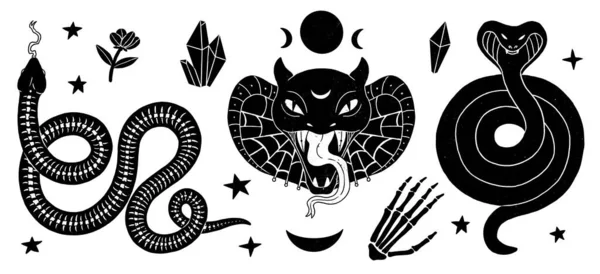 Set of witches familiars illustrations. Snake set. Boho and vintage collection. Decorative animals silhouette. Wiccan and pagan art. Decorative nature. Isolated on white