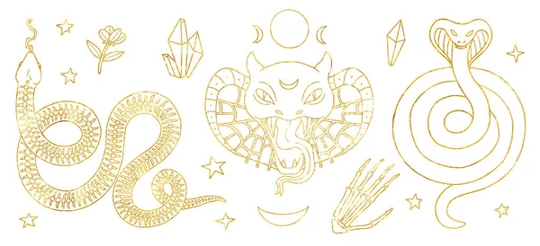 Set of witches familiars illustrations. Snake set. Golden line art. Boho and vintage collection. Wiccan and pagan art. Decorative nature. Isolated on white