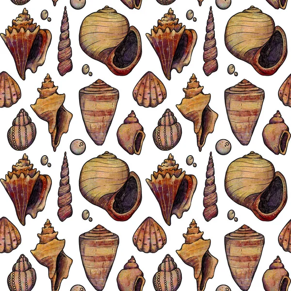 Víz Alatti Fantázia Zökkenőmentes Minták Kézzel Rajzolt Szokatlan Színű Kagylók — Stock Fotó