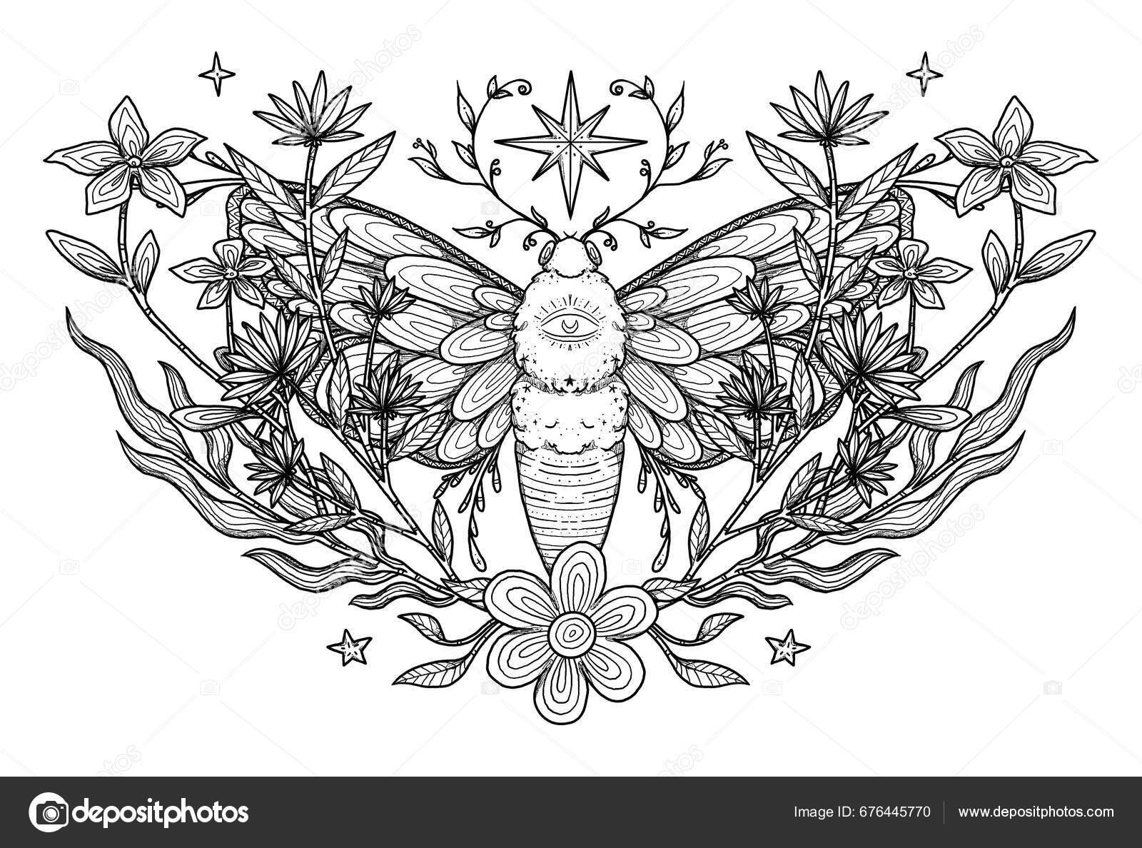 Boho Moth Illustration Hand Drawn Line Art Insect Floral Composition