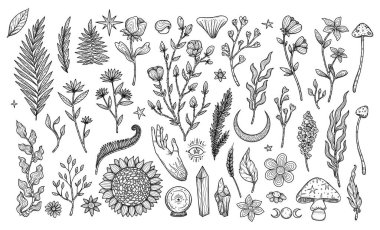 Dekoratif çiçek çizimleri. Boho ve vintage koleksiyonu. Çizgi sanatı. El yapımı bitkiler. Beyaz arka planda izole elementler. Goblincore