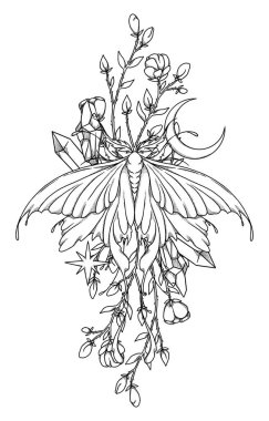 Boho güve çizimi. El yapımı sanat böceği. Çiçek kompozisyonu. Vintage elementi. Wiccan ve pagan sanatı. Dekoratif bir doğa. Beyazda izole edilmiş