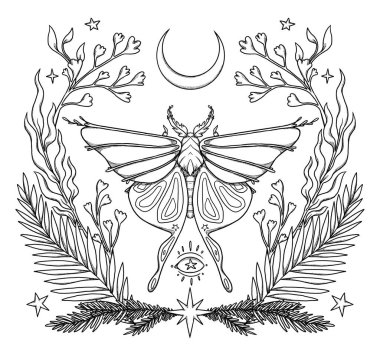 Boho güve çizimi. El yapımı sanat böceği. Çiçek kompozisyonu. Vintage elementi. Wiccan ve pagan sanatı. Dekoratif bir doğa. Beyazda izole edilmiş