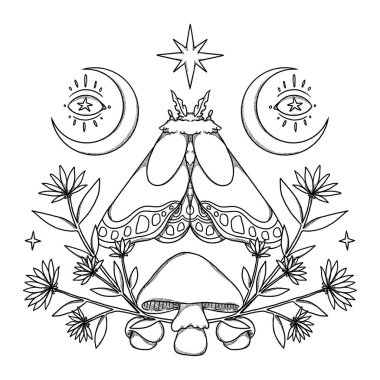 Boho güve çizimi. El yapımı sanat böceği. Çiçek kompozisyonu. Vintage elementi. Wiccan ve pagan sanatı. Dekoratif bir doğa. Beyazda izole edilmiş