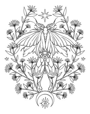 Boho güve çizimi. El yapımı sanat böceği. Çiçek kompozisyonu. Vintage elementi. Wiccan ve pagan sanatı. Dekoratif bir doğa. Beyazda izole edilmiş