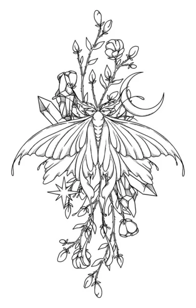 Boho Molární Ilustrace Ručně Kreslený Čárový Hmyz Květinové Složení Ročník — Stock fotografie