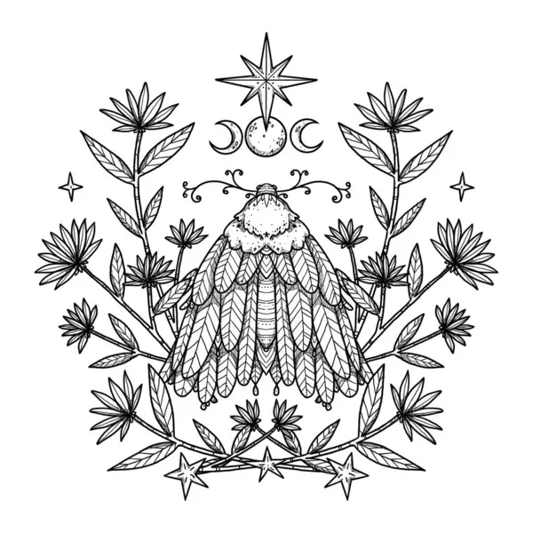 Ilustración Polilla Boho Insecto Dibujado Mano Composición Floral Elemento Vintage —  Fotos de Stock