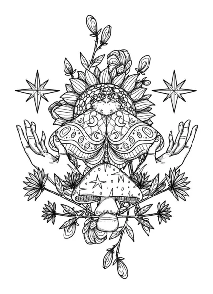 Boho蛾图解 手工画线的艺术昆虫 花的构图 复古元素 巫术和异教艺术 装饰的性质 与白种人隔离 — 图库照片