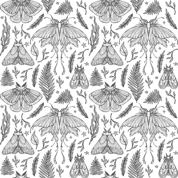 Patrón Polilla Sin Costura Dibujado Mano Mariposas Flores Línea Diseño —  Fotos de Stock