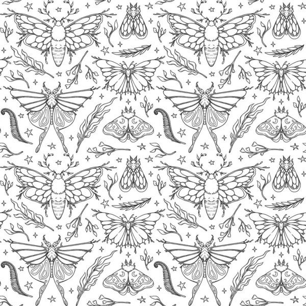 Handritat Sömlöst Mal Mönster Fjärilar Och Blommor Linje Konst Design Royaltyfria Stockfoton
