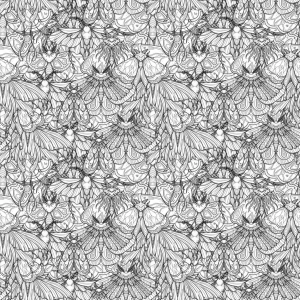 Patrón Polilla Sin Costura Dibujado Mano Mariposas Flores Línea Diseño Imagen de archivo