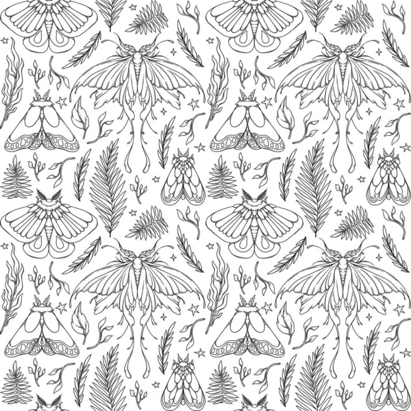 Patrón Polilla Sin Costura Dibujado Mano Mariposas Flores Línea Diseño Imagen de archivo