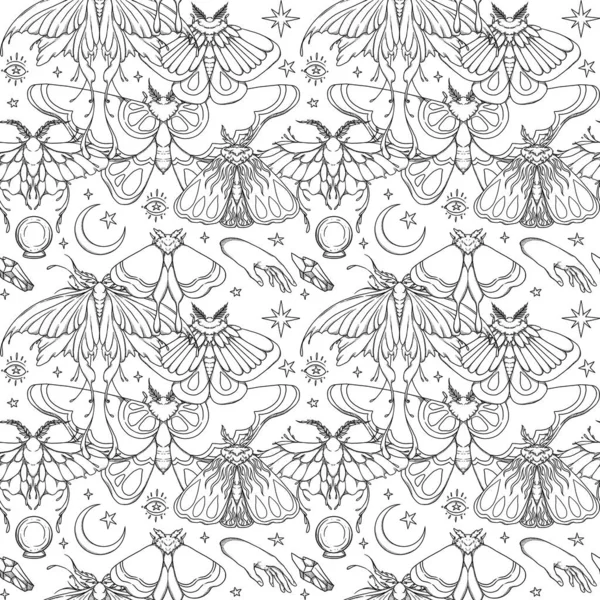 Patrón Polilla Sin Costura Dibujado Mano Mariposas Flores Línea Diseño Imagen de stock