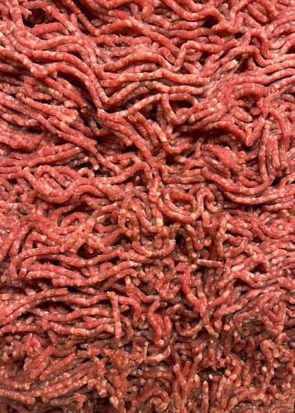 Carne Roja Picada Reúnete Con Grasa — Foto de Stock