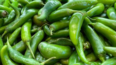 Shishito Anaheim SERRANO Meksika Yeşil Biberleri