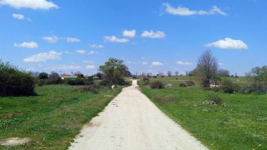 İspanya 'nın Vitigudino çevresindeki kırsal kesimlerde köy yolları, patikalar ve yollar.