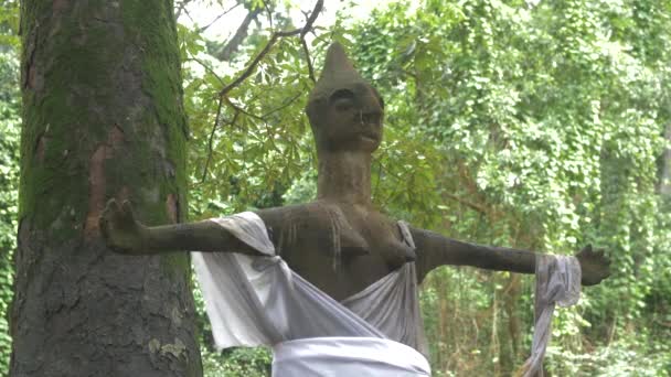Mayo 2023 Osun Osogbo Nigeria Africa Yoruba Gods Goddess Yoruba — Vídeo de stock