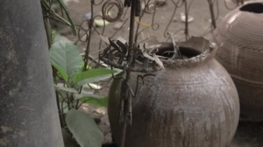 30 Mayıs 2023, osun osogbo Nijerya: Adunni Olorisha olarak bilinen Susanne Wenger, Avusturyalı-Nijeryalı sanatçı ve Yoruba rahibesi Afrika 'daki antik Yoruba topraklarında yaratıcı sanat ve kültür çalışmaları 