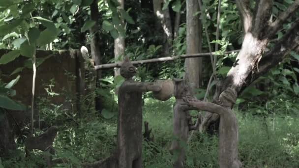 Сузан Венгер Відома Адунні Олоріша Австрійсько Нігерійська Художниця Єруба Жриця — стокове відео