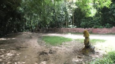 30 Mayıs 2023, osun osogbo Nijerya: Adunni Olorisha olarak bilinen Susanne Wenger, Avusturyalı-Nijeryalı sanatçı ve Yoruba rahibesi Afrika 'daki antik Yoruba topraklarında yaratıcı sanat ve kültür çalışmaları 