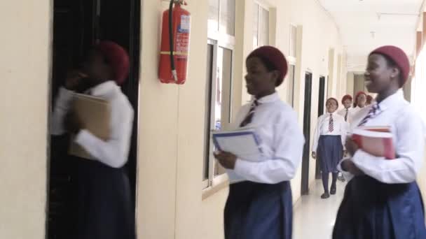 Серпня 2023 Абуджа Нігерія Африканські Студенти Нігерії Навчаються Лекційній Кімнаті — стокове відео