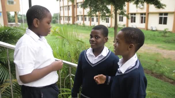 Agosto 2023 Abuja Nigeria Grupo Estudiantes Campus Escolar Discutiendo Caminando — Vídeos de Stock