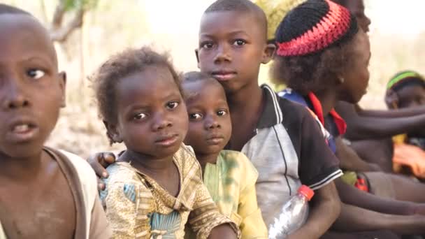 ナイジェリア 2024年 グワラダ ナイジェリア ナイジェリアの極度の貧困 干ばつ 農村集落による栄養失調の子供たち 農村部の黒人アフリカの子供たち 農村部のアフリカの国々の貧しい生活条件 アフリカの貧困 — ストック動画