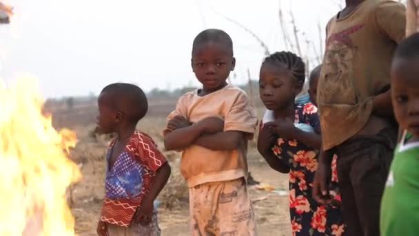 Янв 2024 Гвалада Нигерия Африканские Бедные Дети Греются Горящим Огнем Лицензионные Стоковые Видео