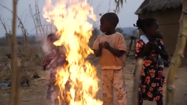 Jan 2024 Gwalada Nigeria African Poor Children Warming Themself Burning — Stock Video