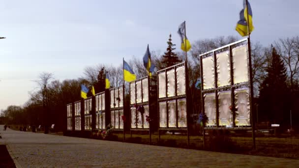 乌克兰顿涅茨克地区02 2024 纪念在俄乌战争中阵亡的乌克兰士兵 乌克兰国旗迎风飘扬 — 图库视频影像