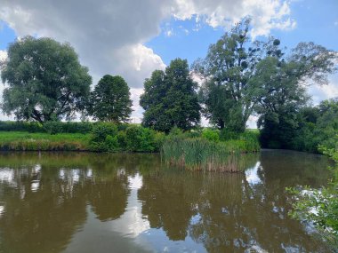 Ormandaki güzel göl