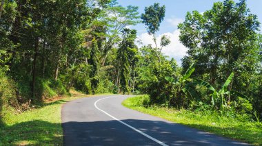 Bereketli tropikal yeşilliklerle çevrili dolambaçlı, sessiz bir kırsal yol, parlak mavi bir gökyüzünün altında..
