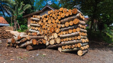 Kereste yığınları güneş ışığında, kırsal bir kereste deposunda, tropikal ağaçlar ve parlak mavi gökyüzü ile çevrili bir kereste deposunda düzgünce düzenlenir..