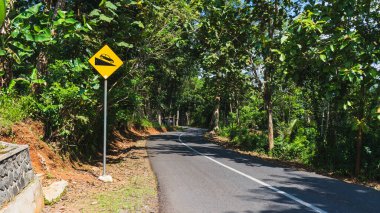 Dolambaçlı köy yolu yemyeşil yemyeşil yemyeşil, sarı yol işaretleriyle çevrili. Parlak, güneşli gökyüzünün altında sarp bir inişin habercisi..