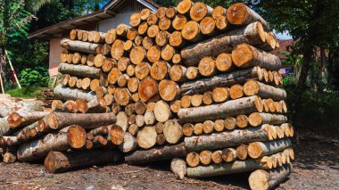 Kereste yığınları güneş ışığında, kırsal bir kereste deposunda, tropikal ağaçlar ve parlak mavi gökyüzü ile çevrili bir kereste deposunda düzgünce düzenlenir..