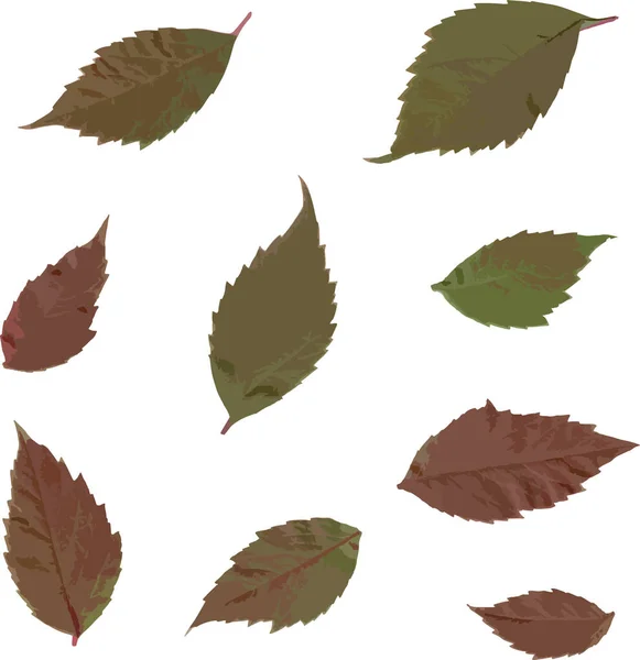Бесшовный Рисунок Абстрактных Цветных Листьев — стоковое фото