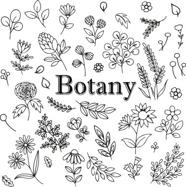 Bir takım çiçek elementleri. vektör el çizimi resimleme 