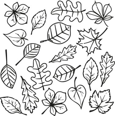 El çizimi sonbahar yaprakları. vektör illüstrasyonu
