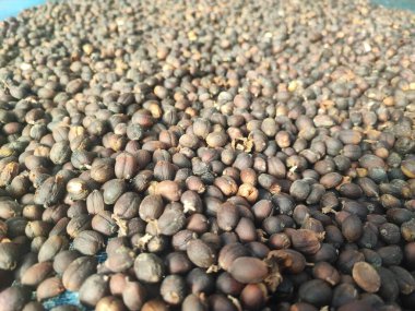 Markette kavrulmuş kahve çekirdeği.