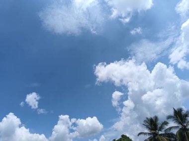 Pofuduk Beyaz Bulutlar ve Tropikal Palmiye Ağaçlarıyla Parlak Mavi Gökyüzü