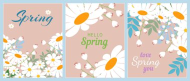 Doğa, bahar, güzellik, zarif papatyalarla moda temalı bir poster dizaynı. Doğal bahar arkaplanı, kapak, satış afişi, el ilanı tasarımı. Reklam için şablon.