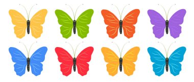 Tasarımın için büyük renkli kelebek koleksiyonu. Tasarım elemanı. Vektör illüstrasyonu