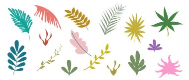 Bir dizi renkli, soyut tropik yaprak ve şekiller çizilmiş. Bahar yaz tasarımının elementleri. Vektör modayı düz doğrusal illüstrasyon.