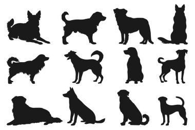 Köpek siluetlerinin vektör seti. Siyah köpekler beyazlar üzerinde izole..