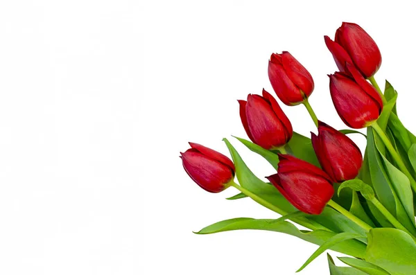 stock image Bouquet of 7 red tulips with green stems and leaves on a white background