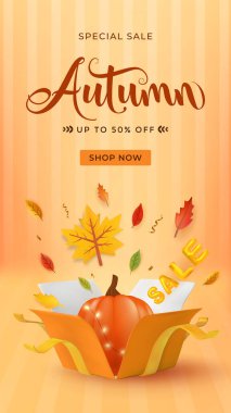 Bir kutunun içinde balkabağı ve düşen sonbahar yapraklarının yer aldığı şenlikli tasarımı olan dikey renkli sonbahar satışı reklamı..