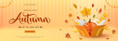 Sonbahar İndirim Sancağında Kabak, Yaprak ve İndirim