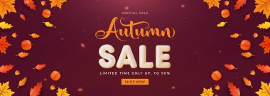 Renkli yapraklar, balkabakları ve satış metinlerinin yer aldığı parlak sonbahar temalı reklam afişi, mevsimsel pazarlama kampanyaları için mükemmel ve sonbahar sezonunu ve alışveriş etkinliklerini vurgulayan sınırlı süre teklifleri.
